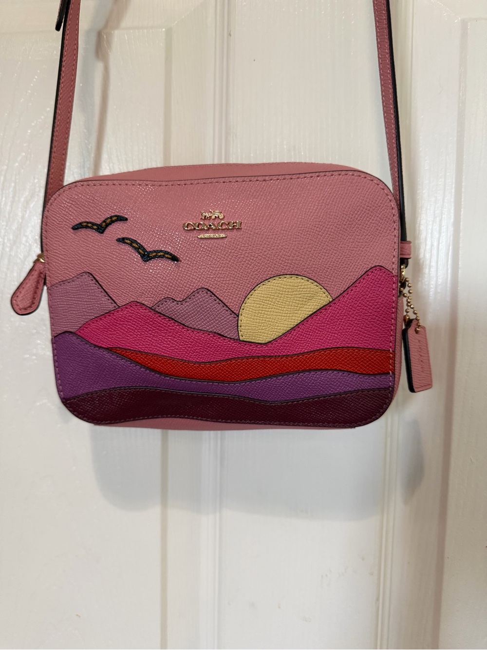 MINI CAMERA BAG WITH MOUNTAIN POSTCARD NWOT - Picture 3 of 10